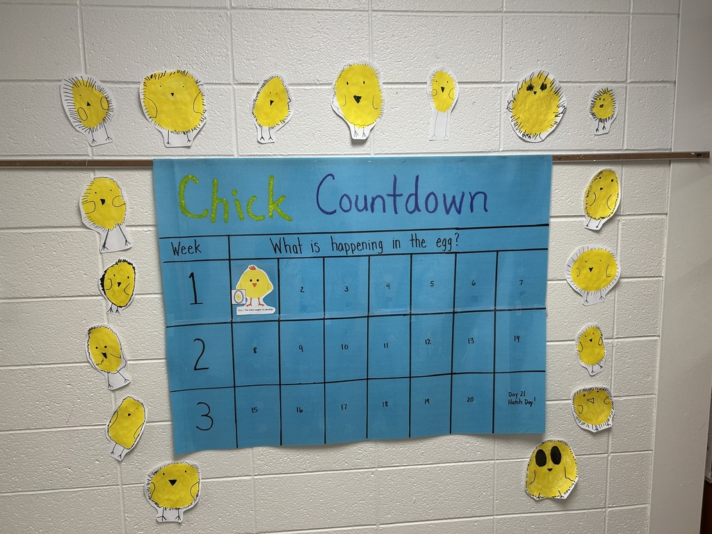 Chick Countdown