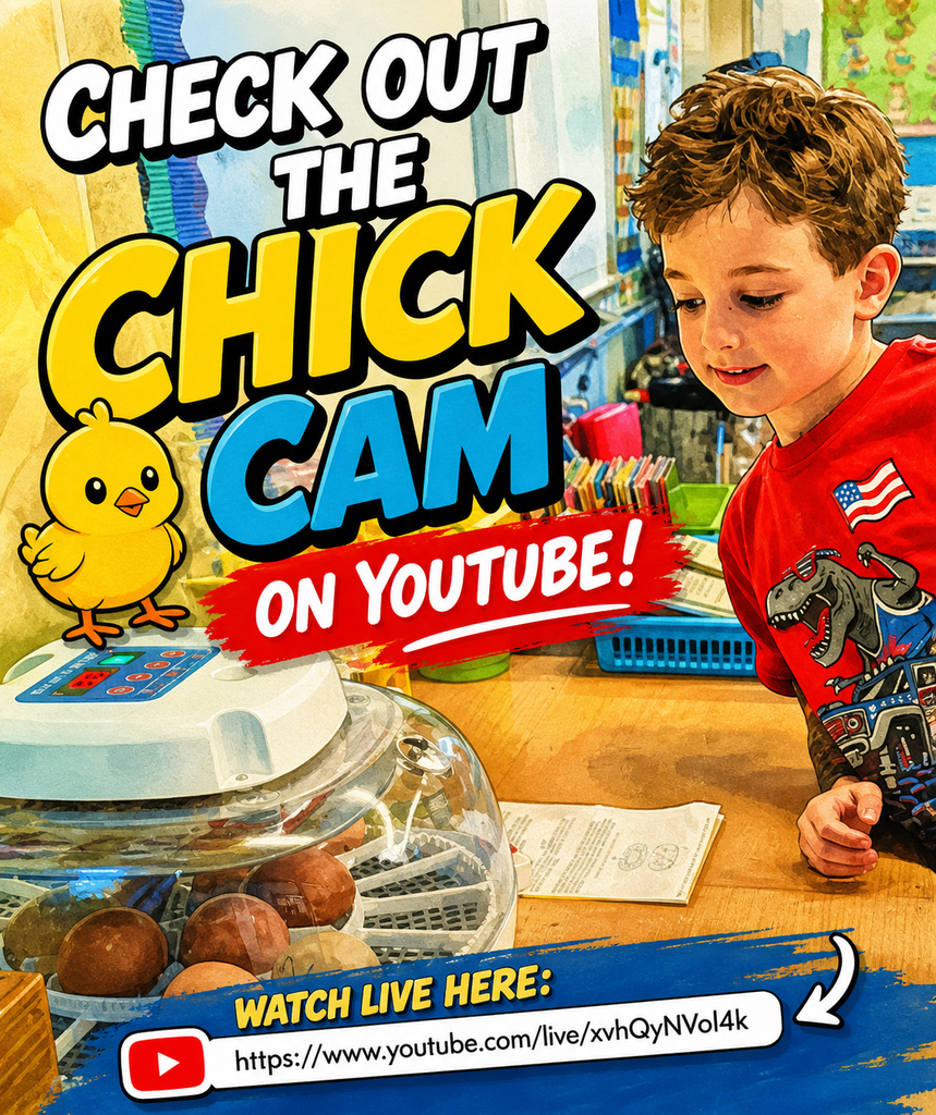 chick cam