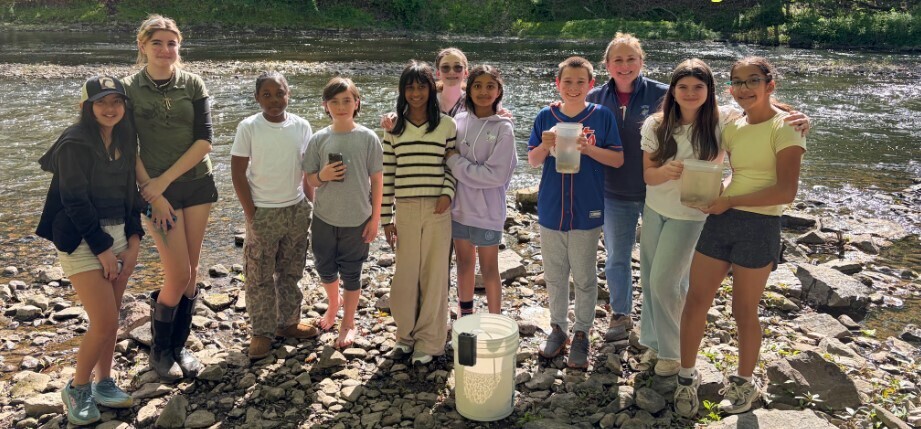 Trout group