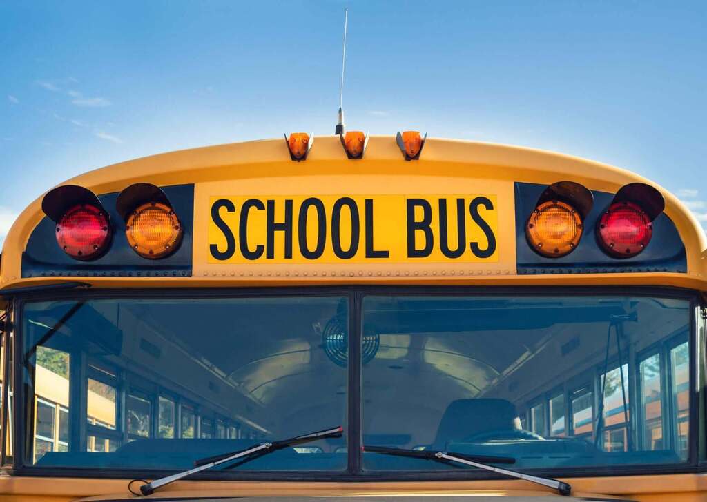 bus info
