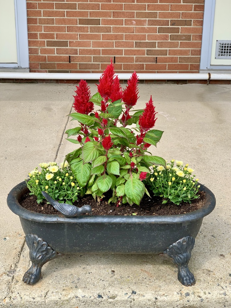 Pic 2
