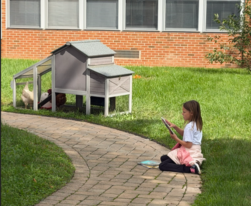 Outdoor Classroom