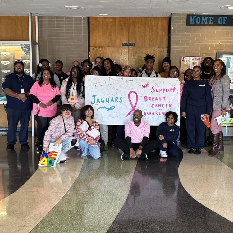 southwestern classical academy pink out