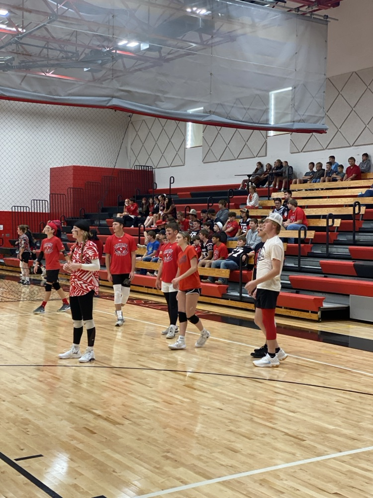 Volleyball game 