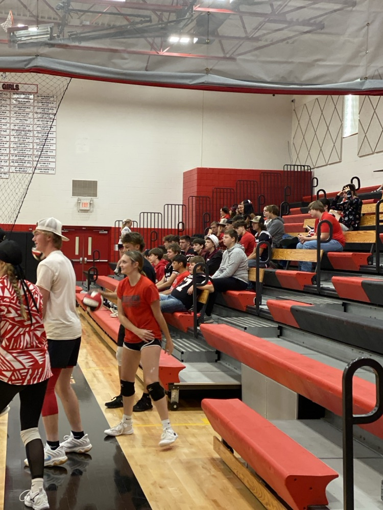 Volleyball game 