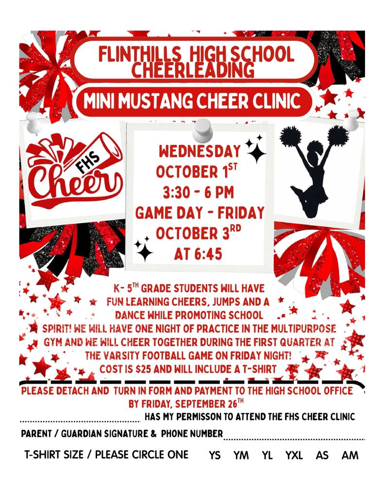 Mini Mustang Cheer Clinic 2025
