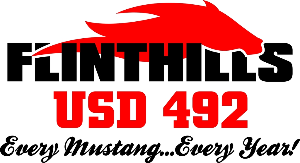 Every Mustang...Every Year!