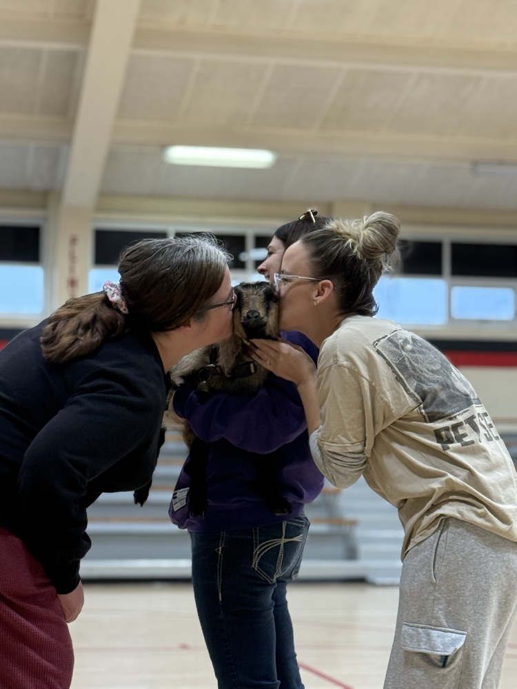Mrs Thomas & Mrs Cogdell kissing Dory the goat.