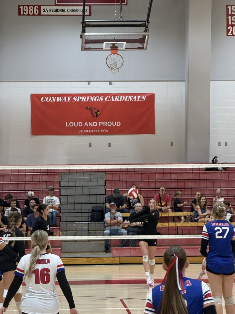 FHS VB