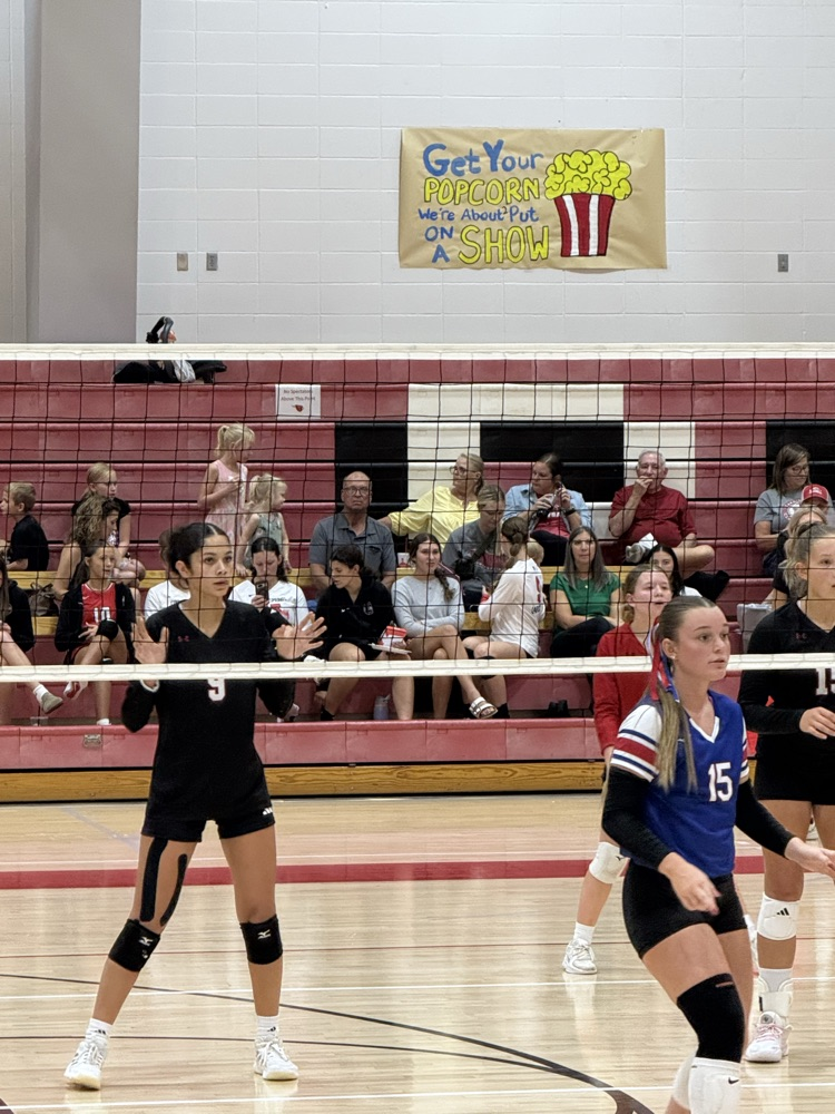 FHS VB