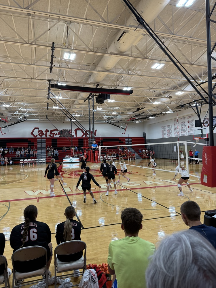 FHS VB