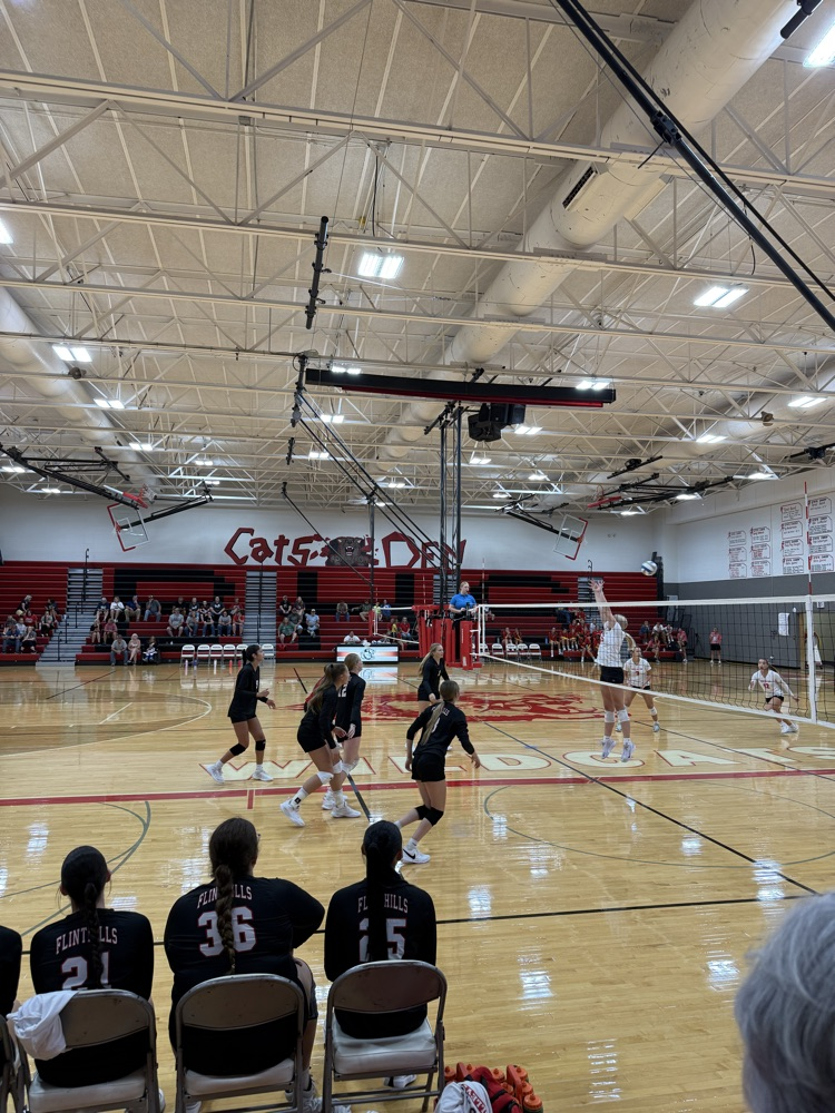 FHS VB