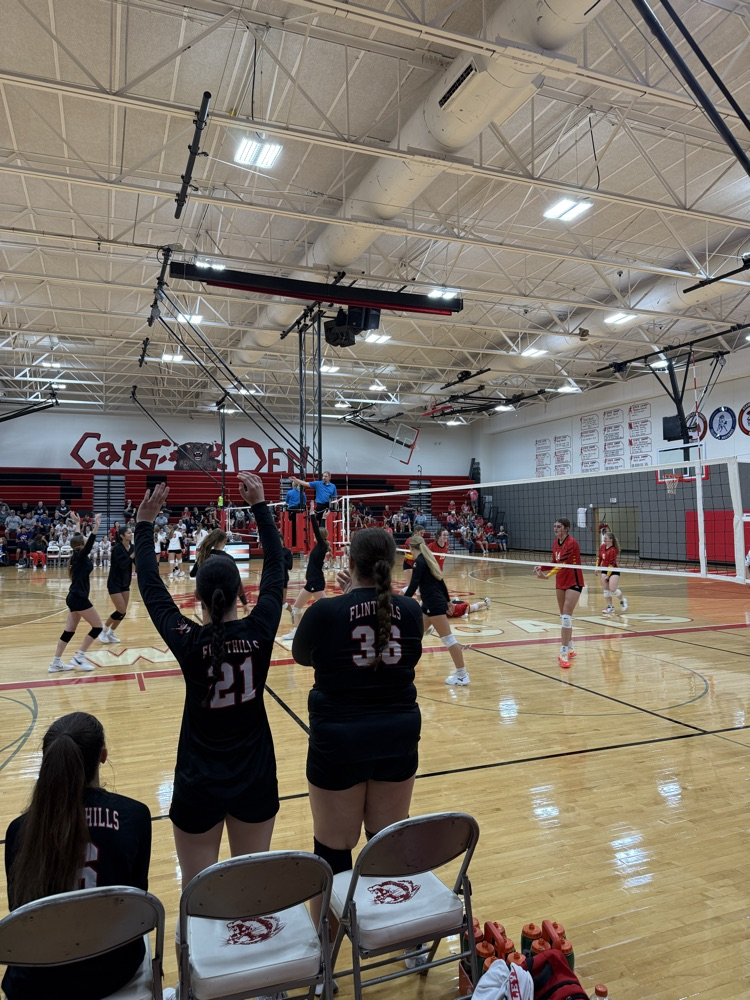 FHS VB