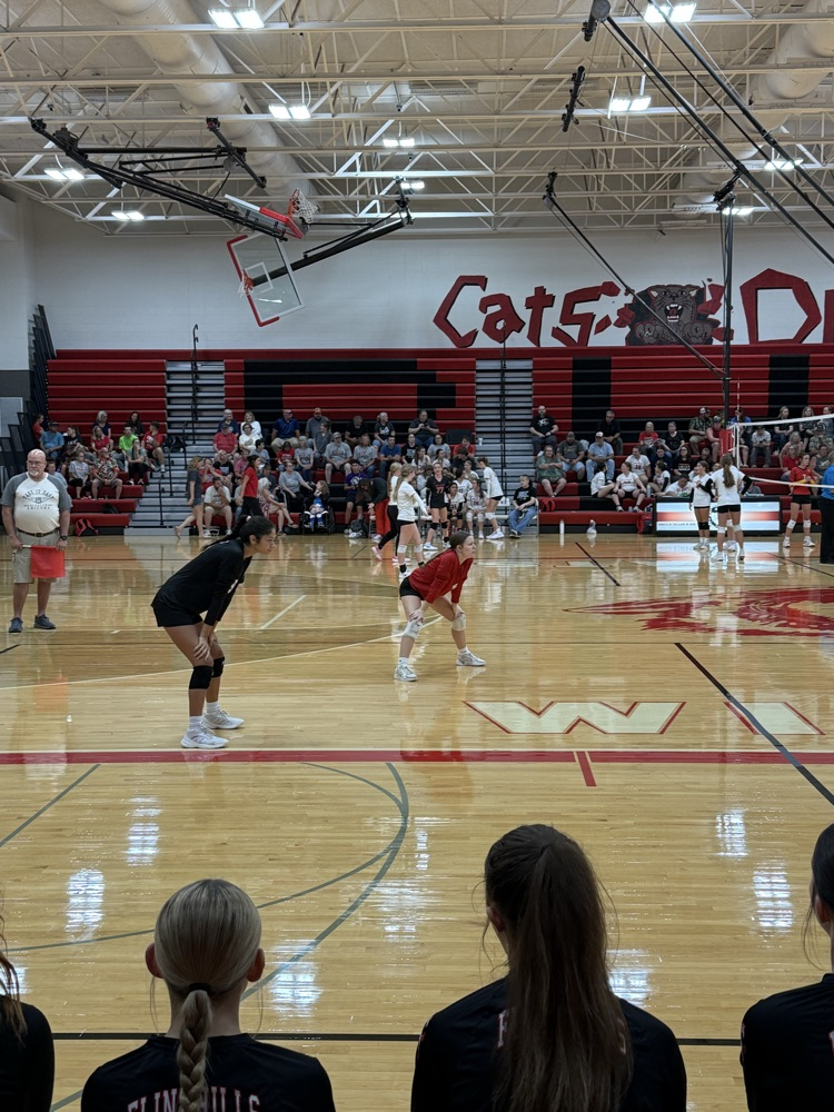 FHS VB