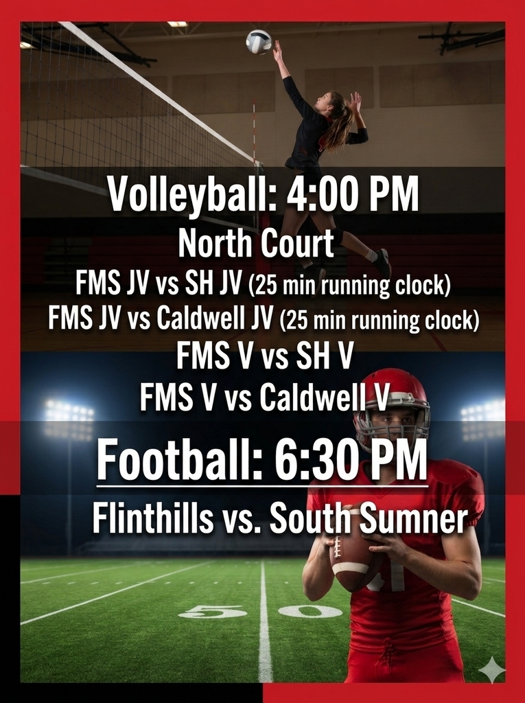 vb fb