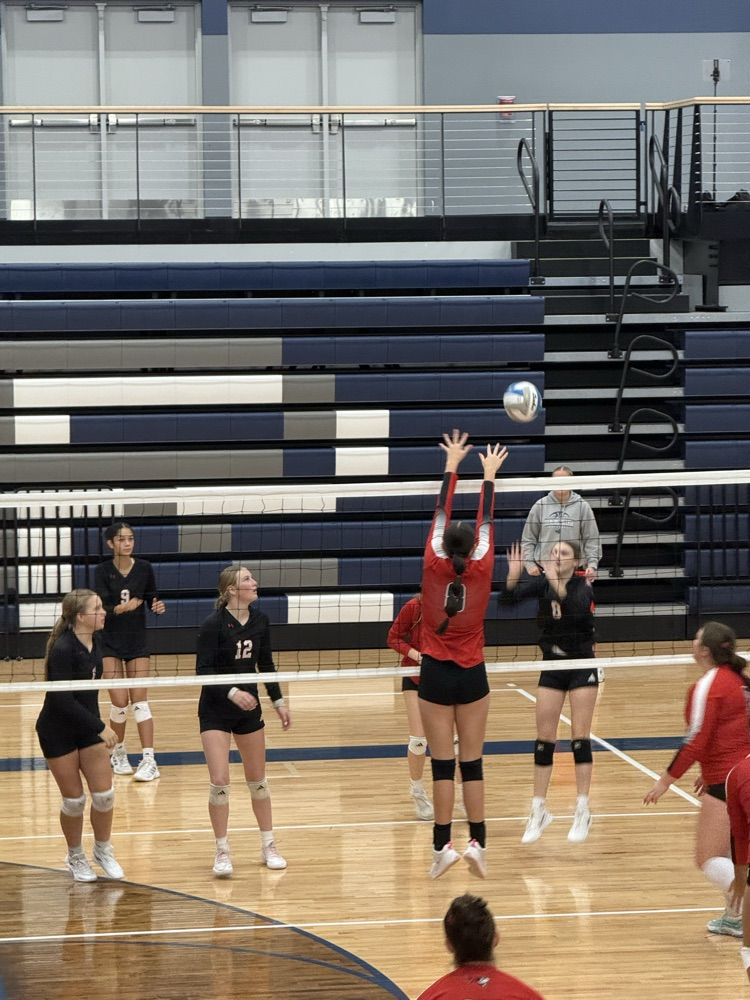 FHS VB 