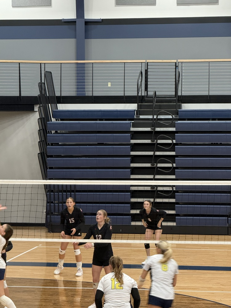 FHS VB 