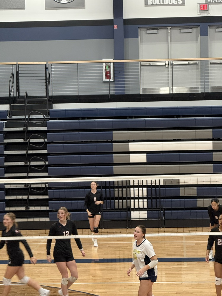 FHS VB