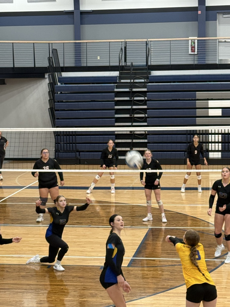 FHS VB