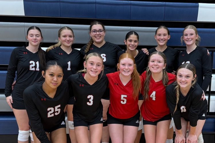 FHS VB