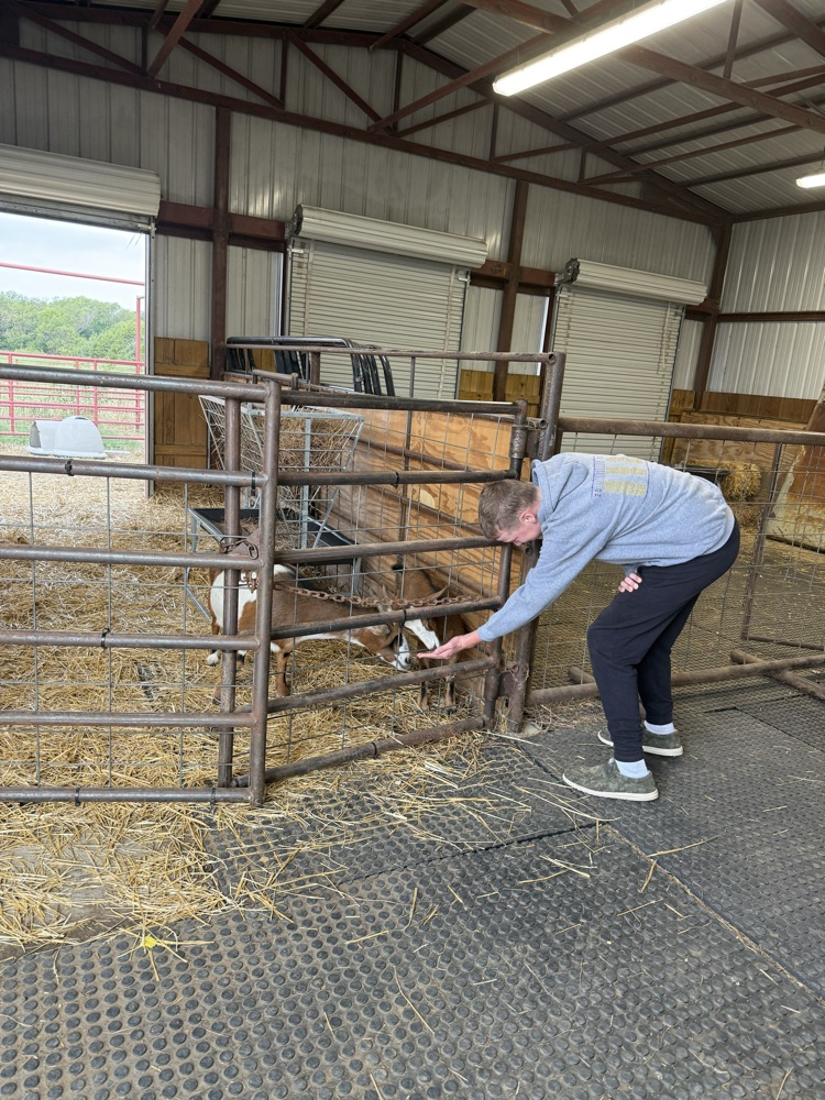 Farm Day