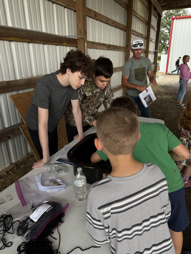 Farm Day