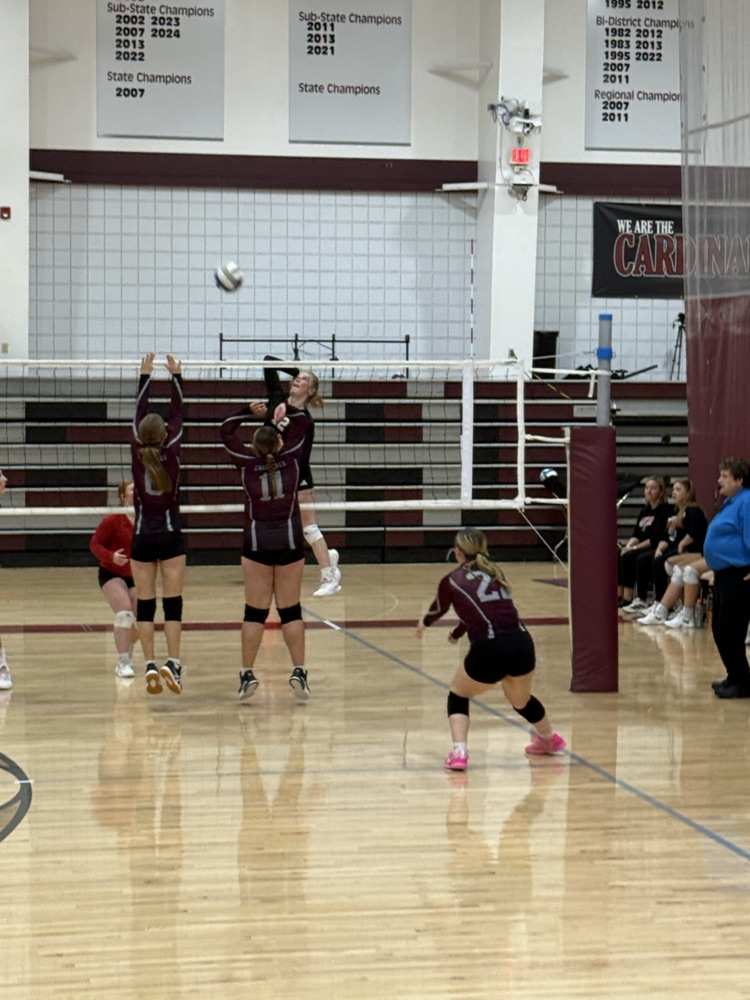 FHS VB