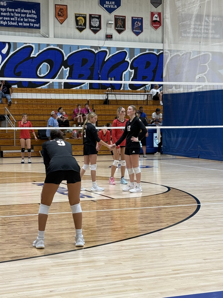 VB