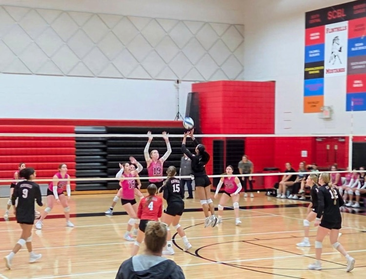 VB