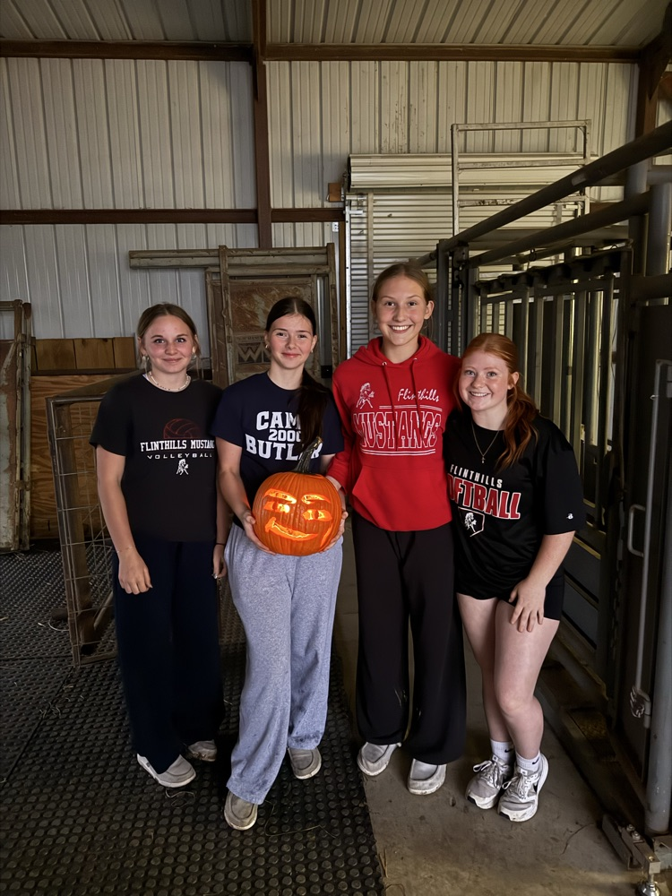 Pumpkin Carving