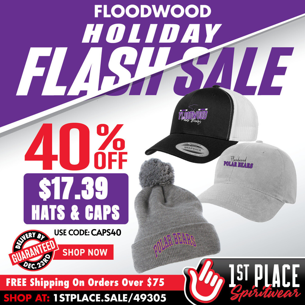 flash sale ad
