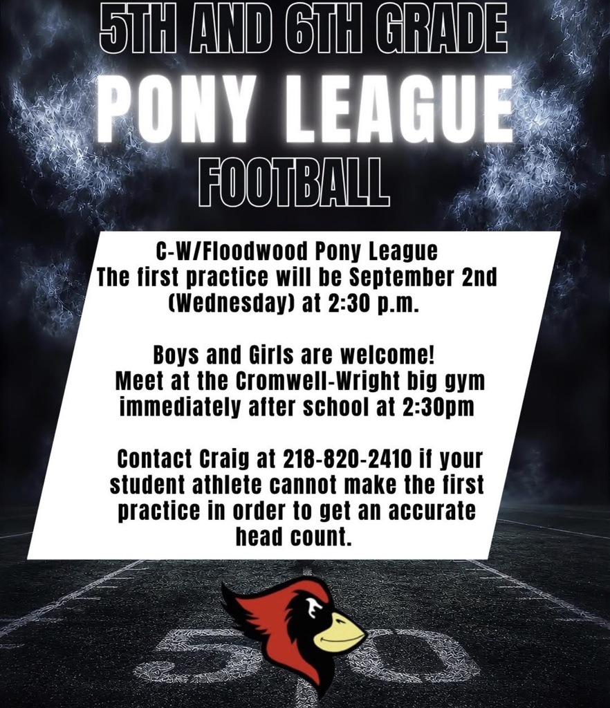 Pony League