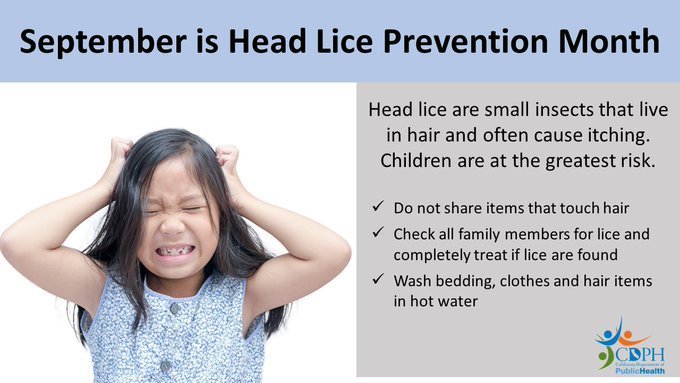 lice