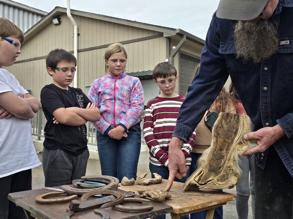 learning how a horse walks