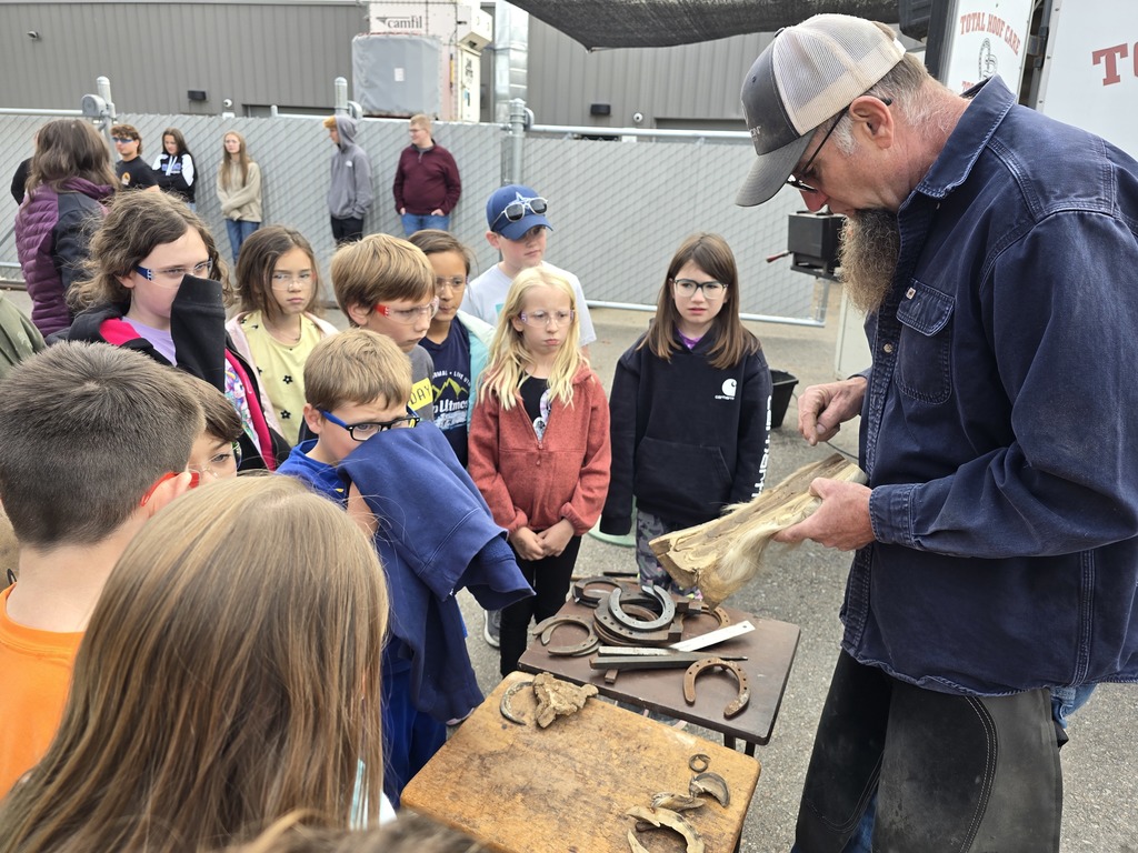 Looking at the anatomy of a horse leg