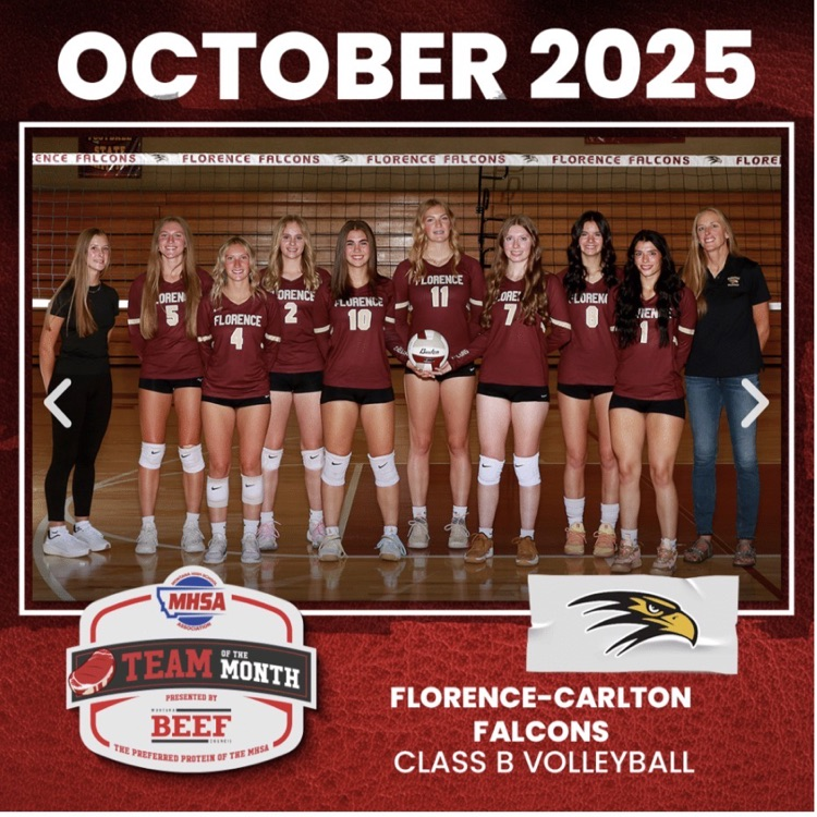 MHSA Volleyball Team of the Month