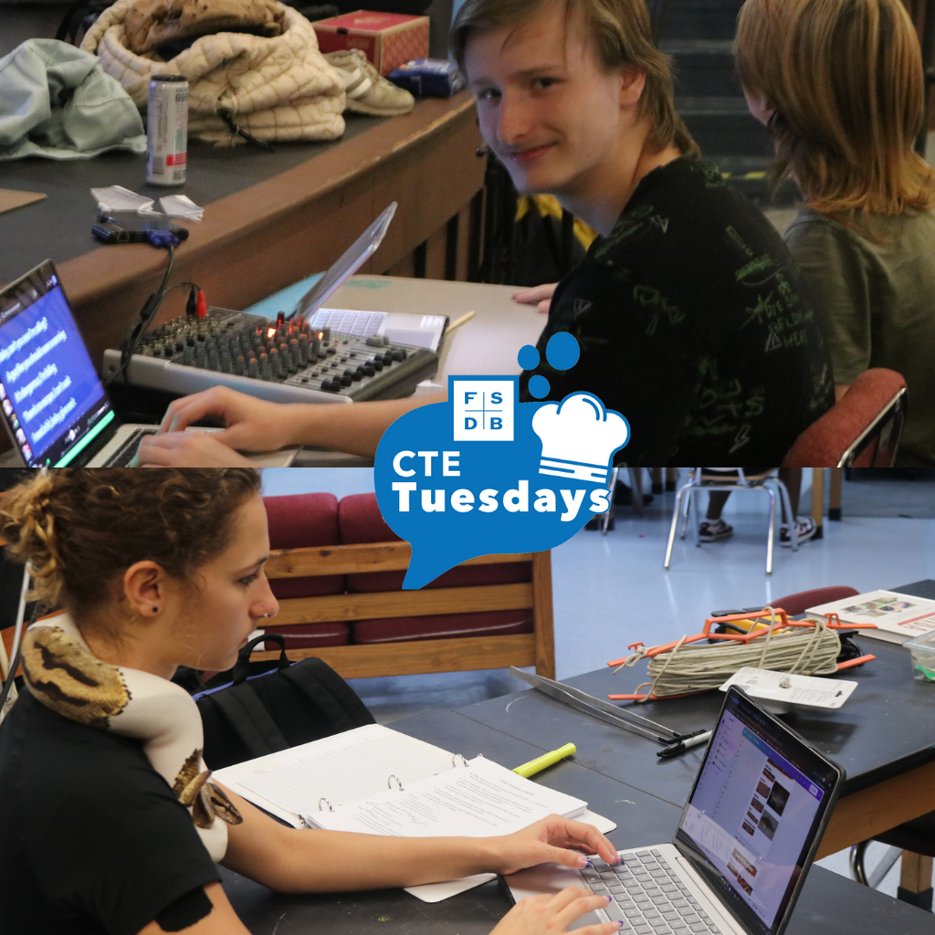 Two photo collage of two students sitting at a desk and working on their laptops. 
