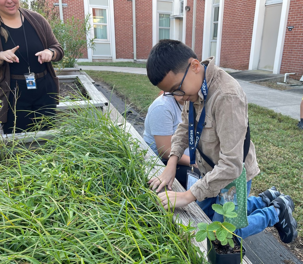Manny feeling the grassy plants