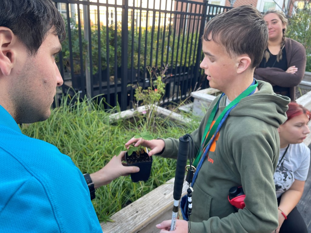 Lucas touches a plant