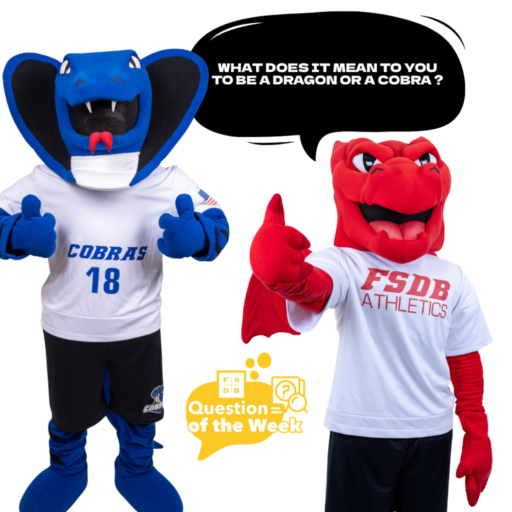 Dragons and Cobra mascots hold their thumbs up with a black quote box above that says "What does it mean to you to be a Dragon or a Cobra?"