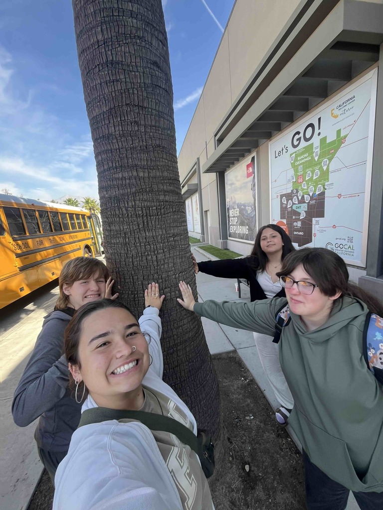 A selfie of a staff member and three students touching a Cali tree. 