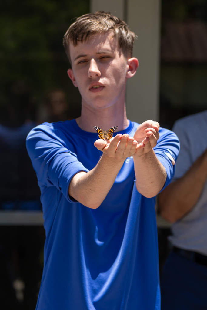 A student holding his hand out for the butterfly.