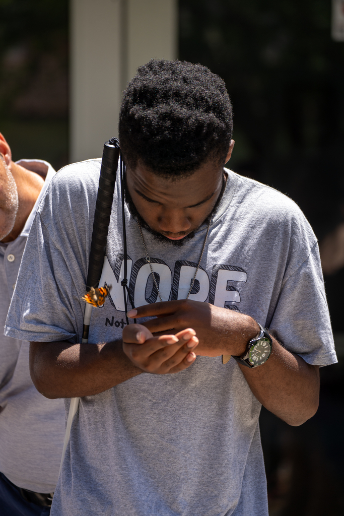 A student holding his hand out for the butterfly.