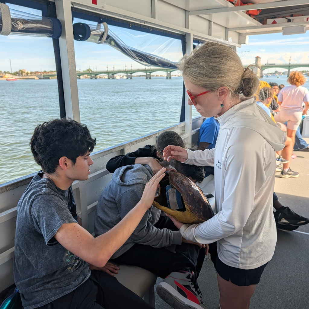 A female holding the turtle shell while a student sits on the boat and touches it. 