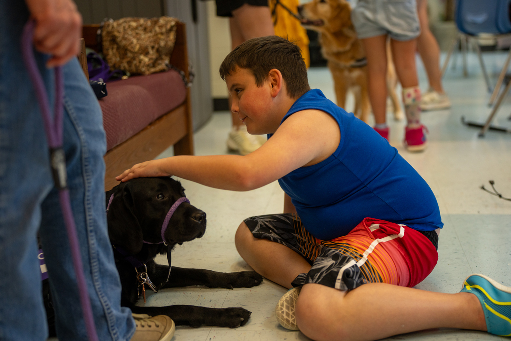 Student pets a dog. 