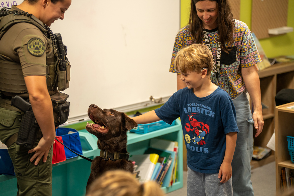 A camper is petting the dog inside a classroom.