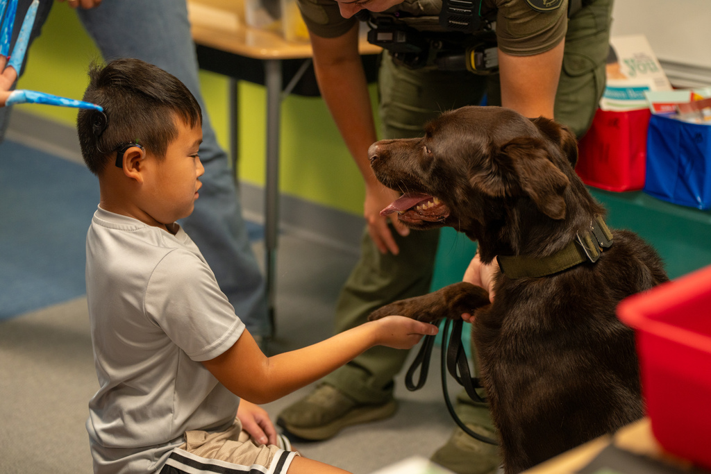 The dog handshakes the camper hand inside the classroom.