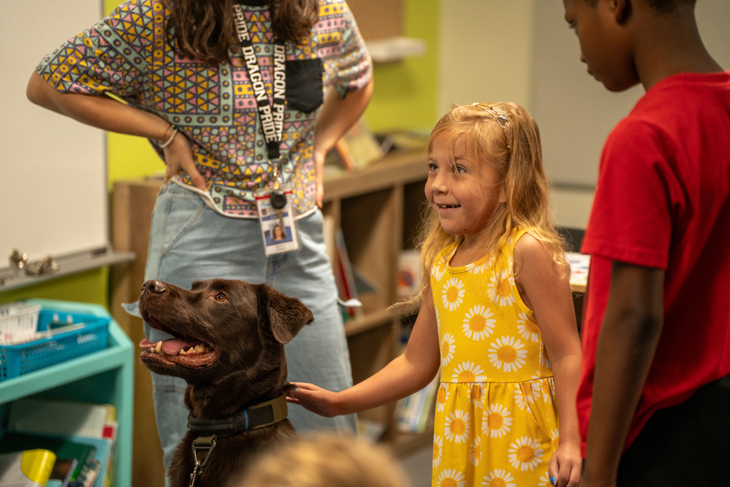 A camper is petting a dog inside the classroom.