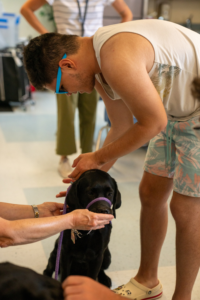 A camper is petting the black dog inside a classroom. 