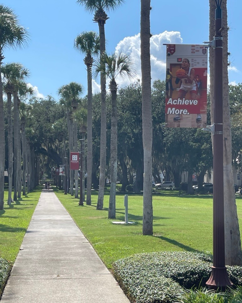 A palm-lined sidewalk (Palm Row) stretches away from the camera with three new banners lining the sidewalk. The closest light pole banner displaying the words “Achieve More.” With a photo of a player from the girls’ basketball team getting ready to shoot a basket.